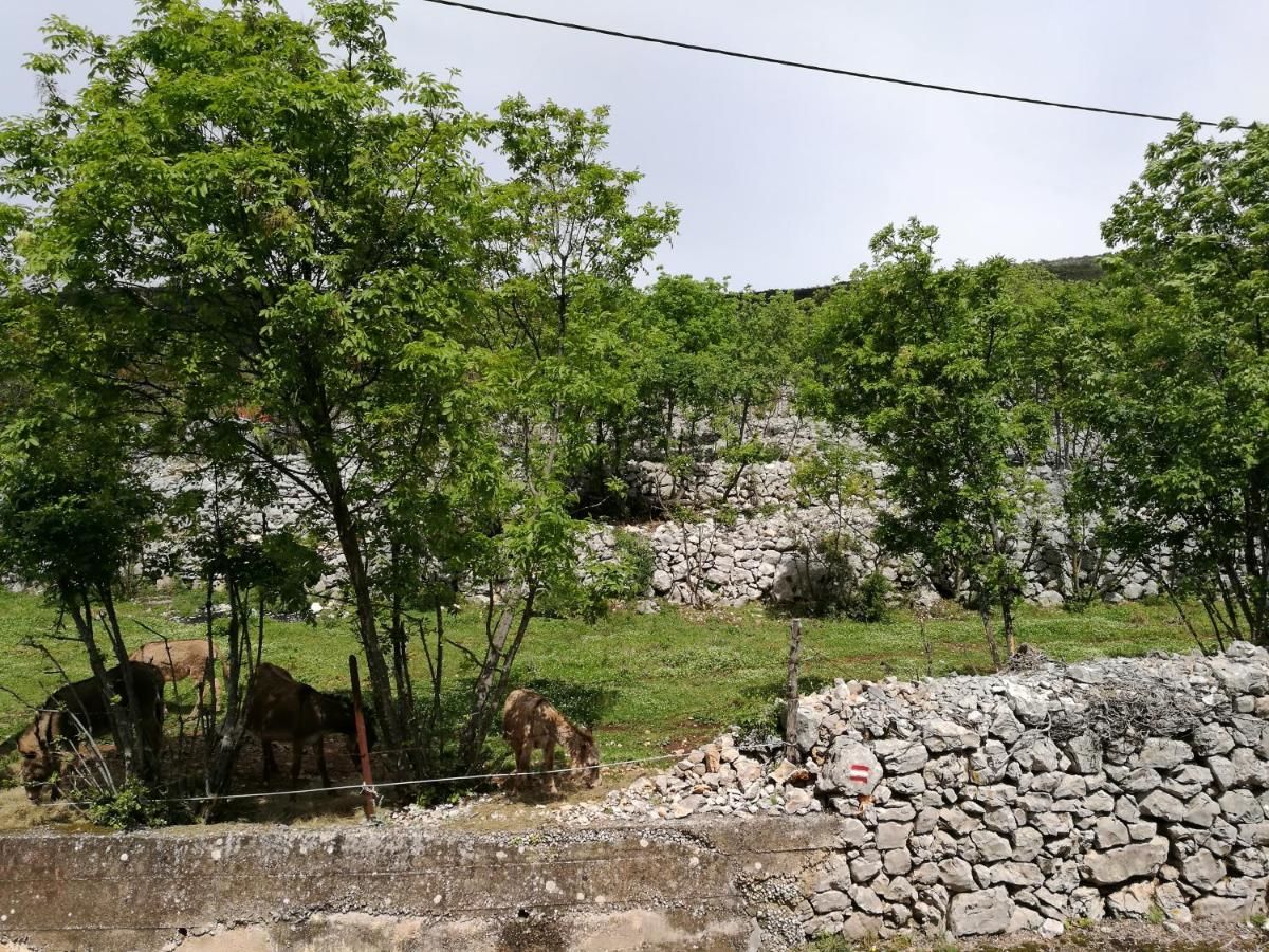 Дома для отпуска Lustica Village House Херцег-Нови