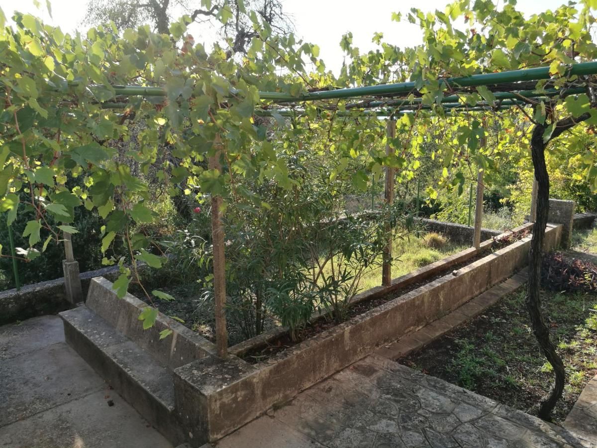 Дома для отпуска Lustica Village House Херцег-Нови