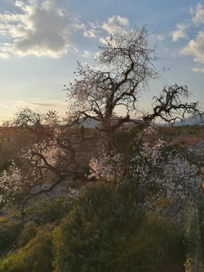 Дома для отпуска Lustica Village House Херцег-Нови