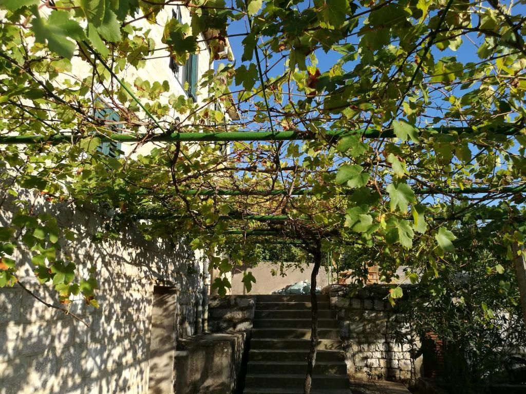 Дома для отпуска Lustica Village House Херцег-Нови