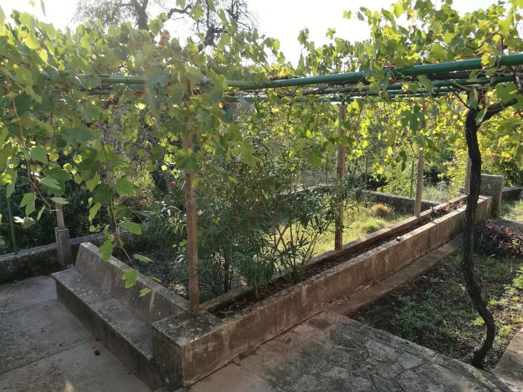 Дома для отпуска Lustica Village House Херцег-Нови