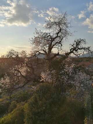 Дома для отпуска Lustica Village House Херцег-Нови Дом с 2 спальнями-30