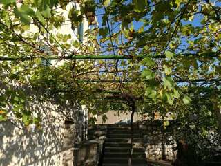 Дома для отпуска Lustica Village House Херцег-Нови Дом с 2 спальнями-32