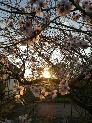 Дома для отпуска Lustica Village House Херцег-Нови Дом с 2 спальнями-48