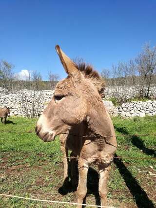 Дома для отпуска Lustica Village House Херцег-Нови Дом с 2 спальнями-49