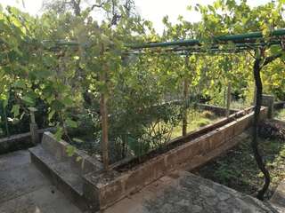 Дома для отпуска Lustica Village House Херцег-Нови Дом с 2 спальнями-53