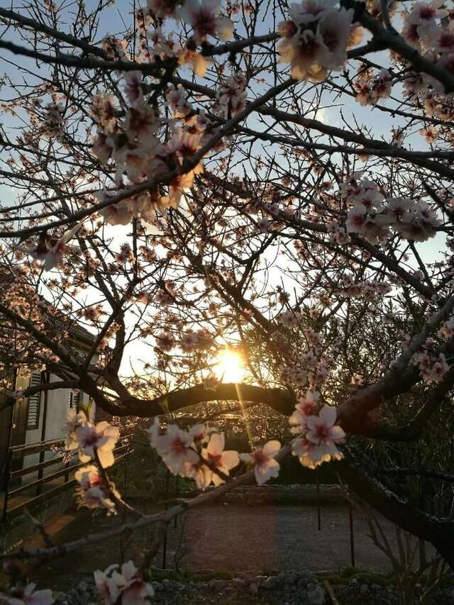 Дома для отпуска Lustica Village House Херцег-Нови-24