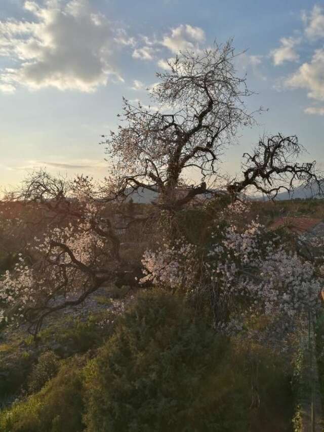 Дома для отпуска Lustica Village House Херцег-Нови-32