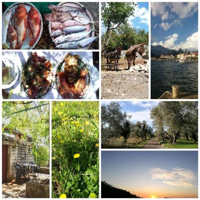 Дома для отпуска Lustica Village House Херцег-Нови-7